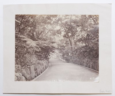 Lot 99 - Hong Kong. A group of 9 photographs of Hong Kong, c. 1870s, albumen prints