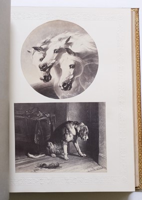 Lot 158 - San Francisco Earthquake. A group of 14 photographs of the San Francisco earthquake