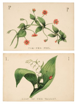 Lot 419 - Alphabet cards. The Floral Alphabet, circa 1850s