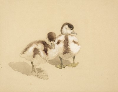 Lot 480 - Austen (Winifred Marie Louise, 1876-1964). Ducklings watercolour