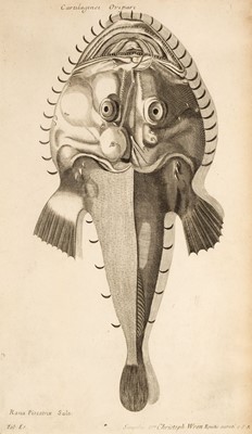 Lot 176 - Fish. Willughby (Francis), A collection of 48 engravings, circa 1686