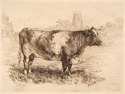 Lot 75 - Williams (A.M). Etchings of Celebrated Shorthorns, 1881