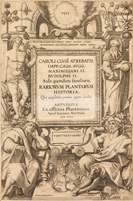Lot 75 - L'Ecluse (Charles de). Clusius, Carolus. Rariorum plantarum historia, 1601