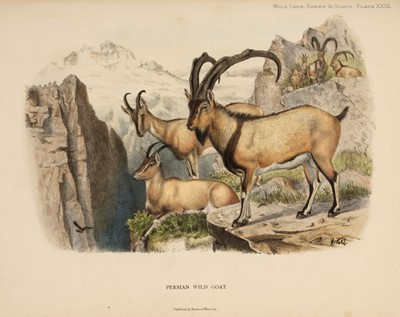 Lot 77 - Lydekker (Richard). Wild Oxen, Sheep and Goats of All Lands Living and Extinct