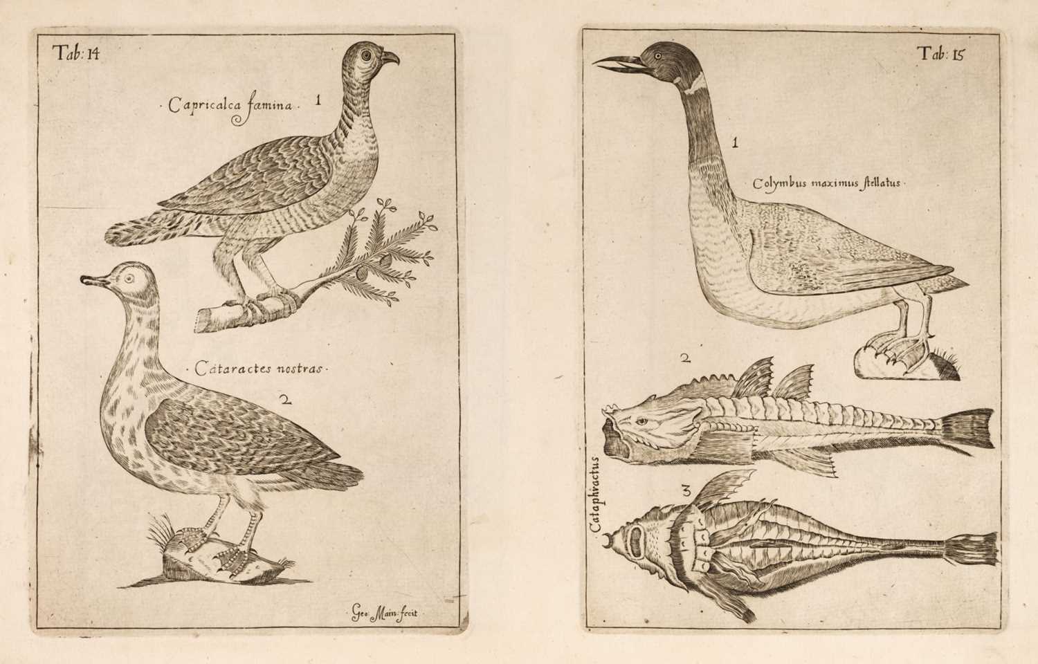 Lot 83 - Sibbald (Robert). Scotia Illustrata, 3 parts in 1, 1683-84