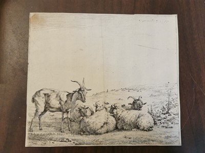 Lot 205 - Dutch School. 17th century etchings by Dujardin, Potter, Both, Berchem and De Bye