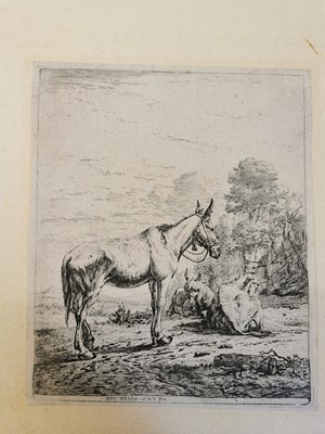 Lot 205 - Dutch School. 17th century etchings by Dujardin, Potter, Both, Berchem and De Bye