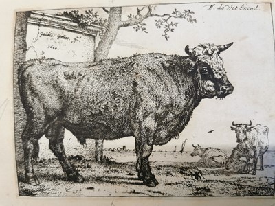 Lot 205 - Dutch School. 17th century etchings by Dujardin, Potter, Both, Berchem and De Bye