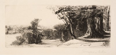 Lot 346 - Haden (Francis Seymour, 1818-1910). Early Morning, Richmond Park, 1859, etching, & 3 others