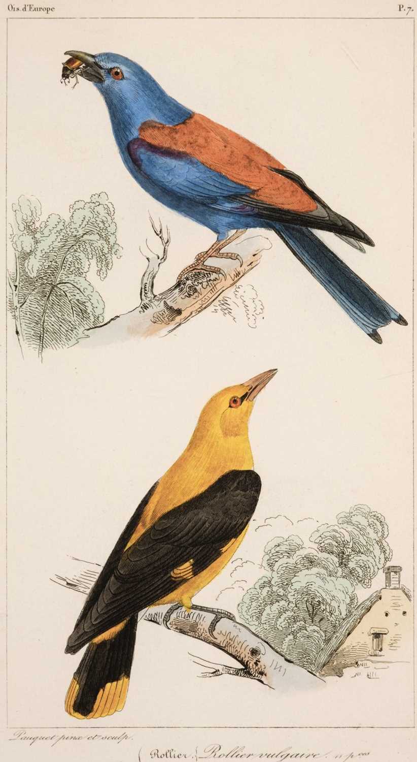 Lot 79 - Prevost (Florent). Histoire Naturelle des Oiseaux D'Europe, Paris: F. Savy, [1864]