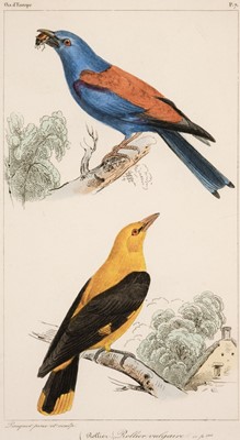 Lot 79 - Prevost (Florent). Histoire Naturelle des Oiseaux D'Europe, Paris: F. Savy, [1864]
