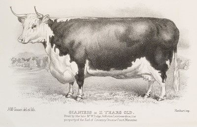 Lot 273 - Coates's Herd Book. A collection of 70 plates, circa 1846