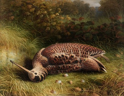 Lot 281 - Hold (Abel, 1815-1891). Shot Woodcock in the Undergrowth, 1866