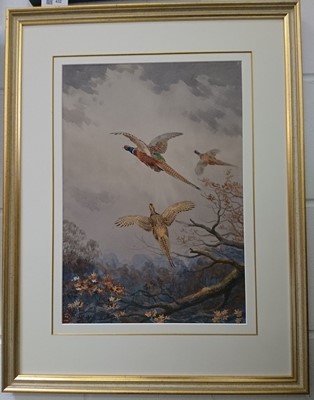 Lot 432 - Harrison (John Cyril, 1898-1985). High Pheasants Breaking Cover