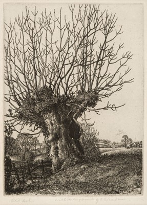 Lot 386 - Badmin (Stanley Roy, 1906-1989). Old Ash, etching