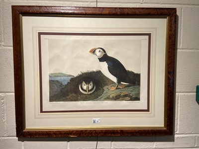 Lot 62 - Audubon (John James). Puffin Mormon Arcticus, 1860