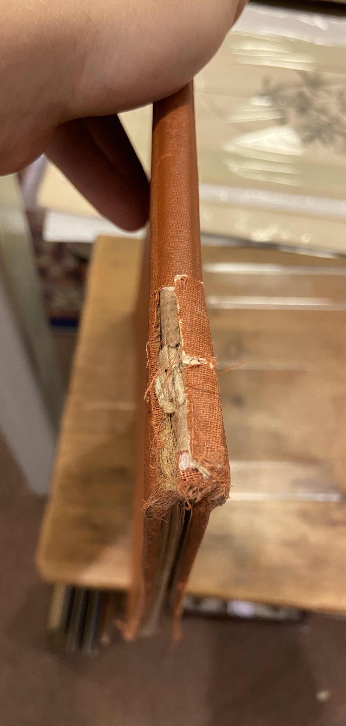 Lot 16 Indian Tea Plantations. Maps of the Following