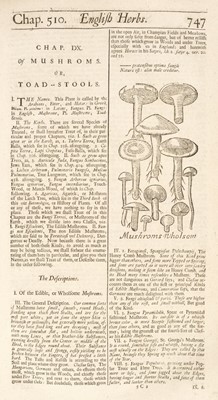 Lot 82 - Salmon (William). Botanologia. The English Herbal, 1710
