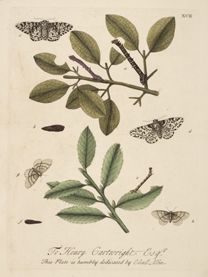 Lot 271 - Butterflies. A collection of 21 prints, 18th century