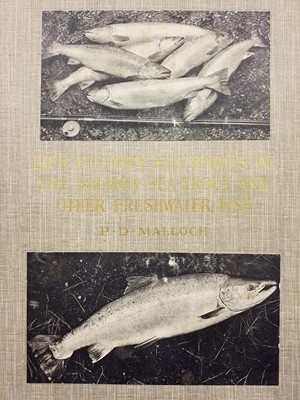 Lot 137 - Fishing. A large collection of game & sea fishing reference