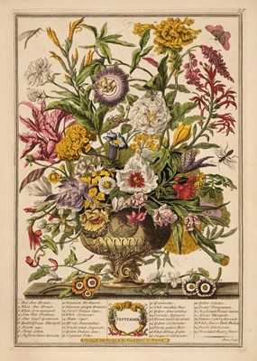 Lot 26 - Furber, Robert. Flora..., Beautiful Flowers as they appear... each Month, John Bowles, 1750