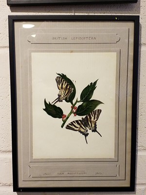 Lot 37 - Manner of Edward Donovan (1768-1837). Three watercolours of Lepidoptera