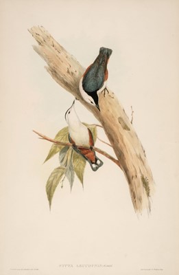 Lot 160 - Gould (John). Four lithographs from 'The Birds of Asia' 1850 - 83