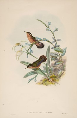 Lot 159 - Gould (John). Five lithographs originally published in 'The Birds of Asia', 1850 - 83