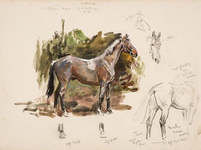 Lot 53 - Edwards (Lionel, 1878 - 1966). Wilkin's Horse Wynnstay Hunt, watercolour and pencil