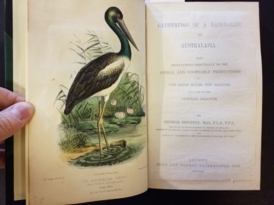 Lot 6 - Bennett (George). Gatherings of a Naturalist in Australia, 1st edition, 1860