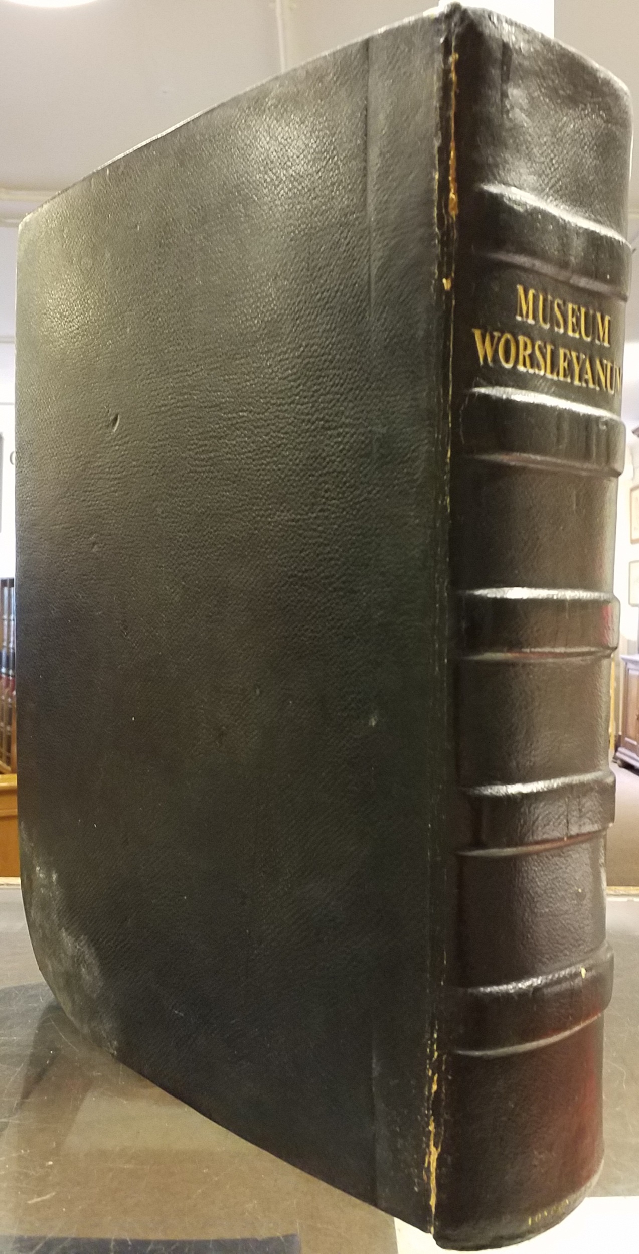 Lot 349 Worsley (Richard). Museum Worsleyanum, 2nd