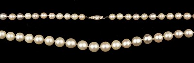 Lot 48 - Pearl Necklace. A string of 75 pearls with a gold catch inset with three old cut diamonds