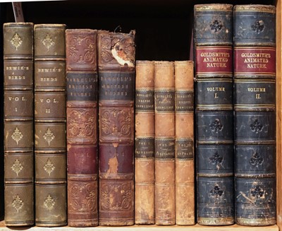 Lot 127 - Bewick (Thomas). A History of British Birds, 2 vols., 1832