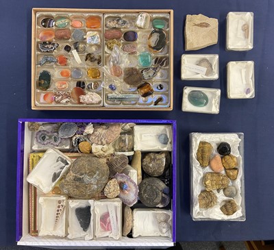 Lot 111 - Fossils & Minerals. A collection of fossils including ammonites, trilobites