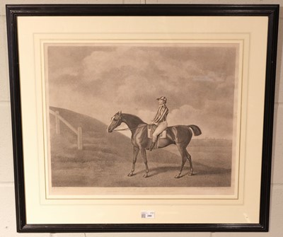 Lot 240 - Stubbs (George Townley). Pumpkin, Messrs. Stubbs, Turf Gallery, Feby. 20th 1794
