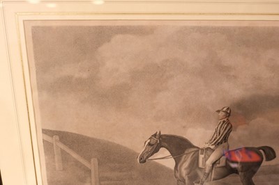 Lot 240 - Stubbs (George Townley). Pumpkin, Messrs. Stubbs, Turf Gallery, Feby. 20th 1794
