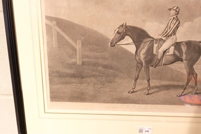 Lot 240 - Stubbs (George Townley). Pumpkin, Messrs. Stubbs, Turf Gallery, Feby. 20th 1794