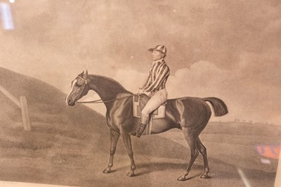 Lot 240 - Stubbs (George Townley). Pumpkin, Messrs. Stubbs, Turf Gallery, Feby. 20th 1794