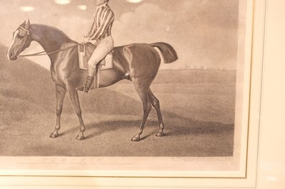 Lot 240 - Stubbs (George Townley). Pumpkin, Messrs. Stubbs, Turf Gallery, Feby. 20th 1794