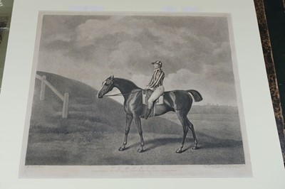 Lot 240 - Stubbs (George Townley). Pumpkin, Messrs. Stubbs, Turf Gallery, Feby. 20th 1794