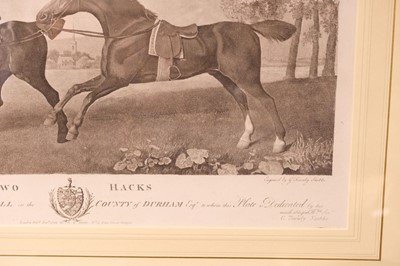 Lot 241 - Stubbs (George Townley). Two hacks Belonging to Henry U. Reay...., G. T. Stubbs, 1792