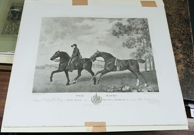 Lot 241 - Stubbs (George Townley). Two hacks Belonging to Henry U. Reay...., G. T. Stubbs, 1792