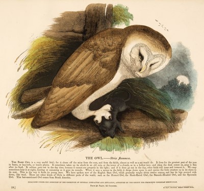 Lot 138 - Whymper (Josiah). Prints Illustrative of Natural History, 5 volumes, [1843]