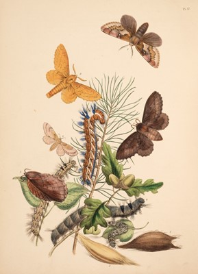 Lot 135 - Humphreys (H.N). British Moths and their Transformations, 1st edition, 2 volumes, 1843-45