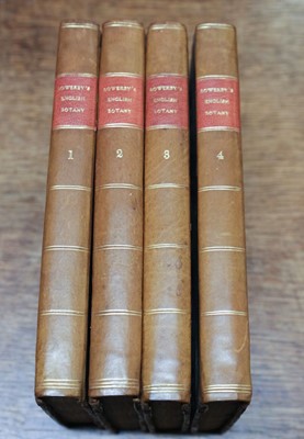 Lot 137 - Sowerby (James). English Botany, 12 volumes, 1790-1801