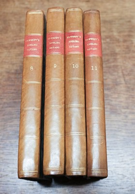 Lot 137 - Sowerby (James). English Botany, 12 volumes, 1790-1801