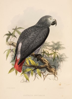 Lot 36 - Keulemans (John Gerard). A Natural History of Cage Birds, parts 1 - 3 (only of 4), 1871