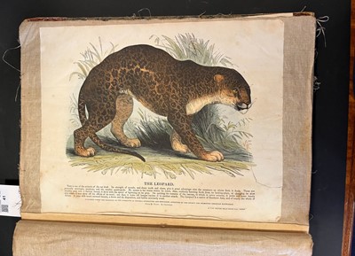 Lot 41 - S. P. C. K. An album of 40 'Plates Illustrative of Natural History', 1845 - 50