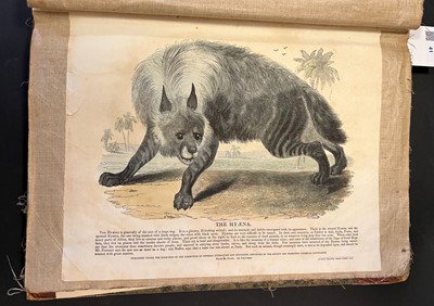 Lot 41 - S. P. C. K. An album of 40 'Plates Illustrative of Natural History', 1845 - 50