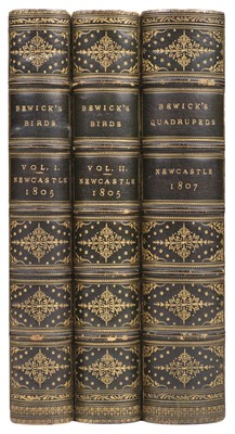 Lot 29 - Bewick (Thomas). A History of British Birds, 2 volumes, 1805